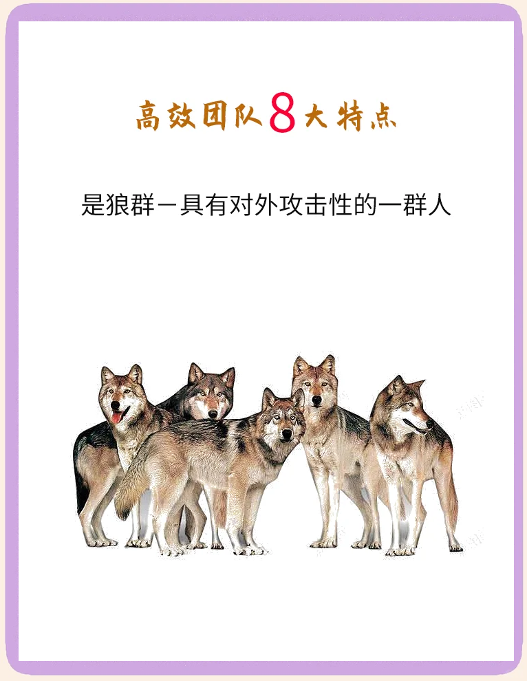 团队默契持续提升，配合更加自然(怎样写团队的默契配合)